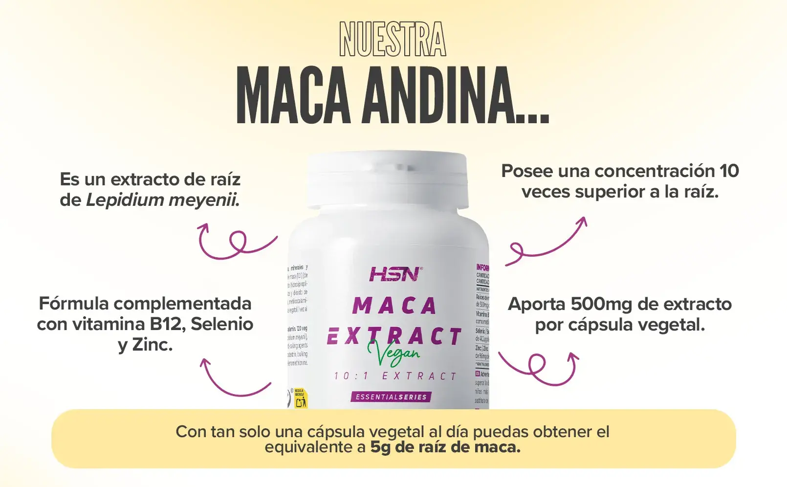 Fplus 2 Extracto de Maca Andina