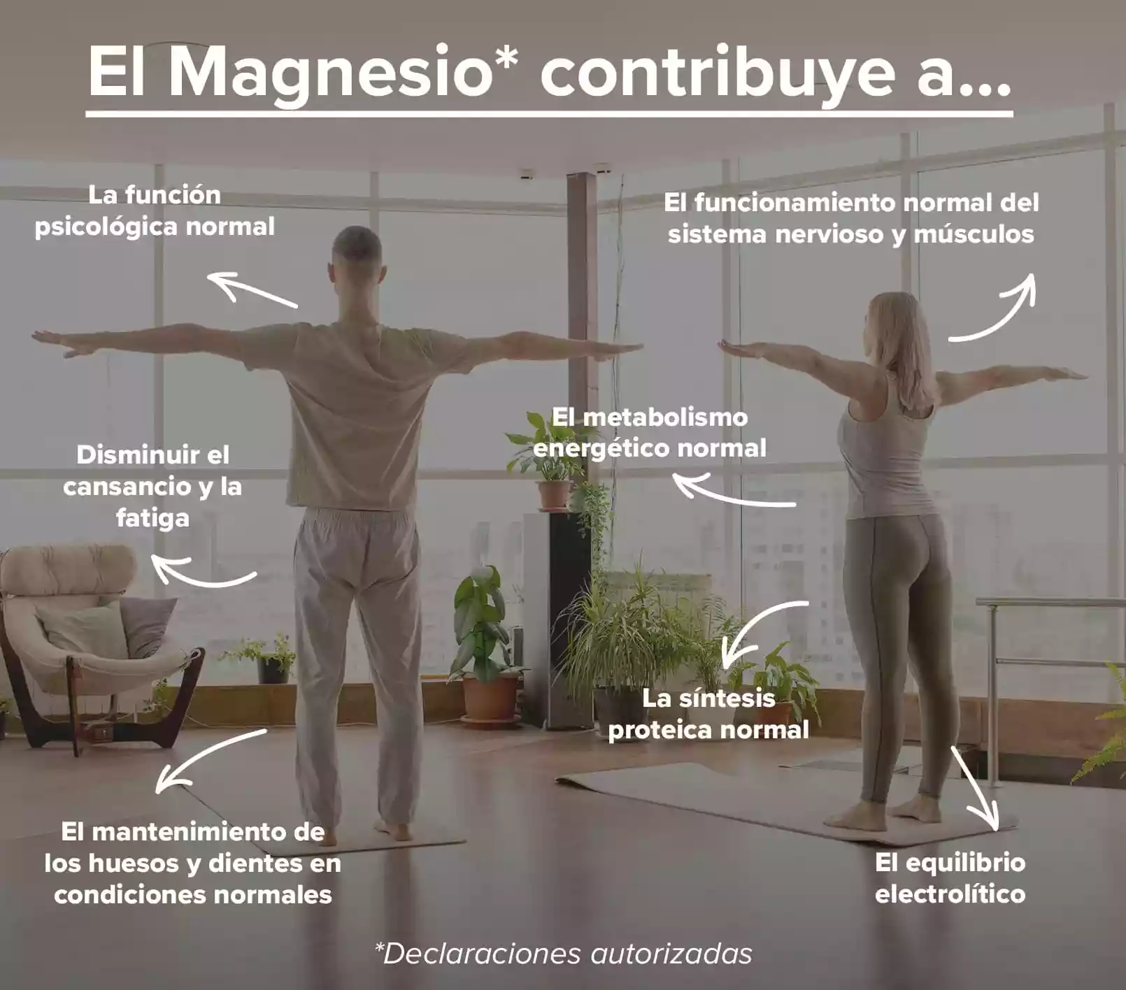 Info 3 Magnesio Albion