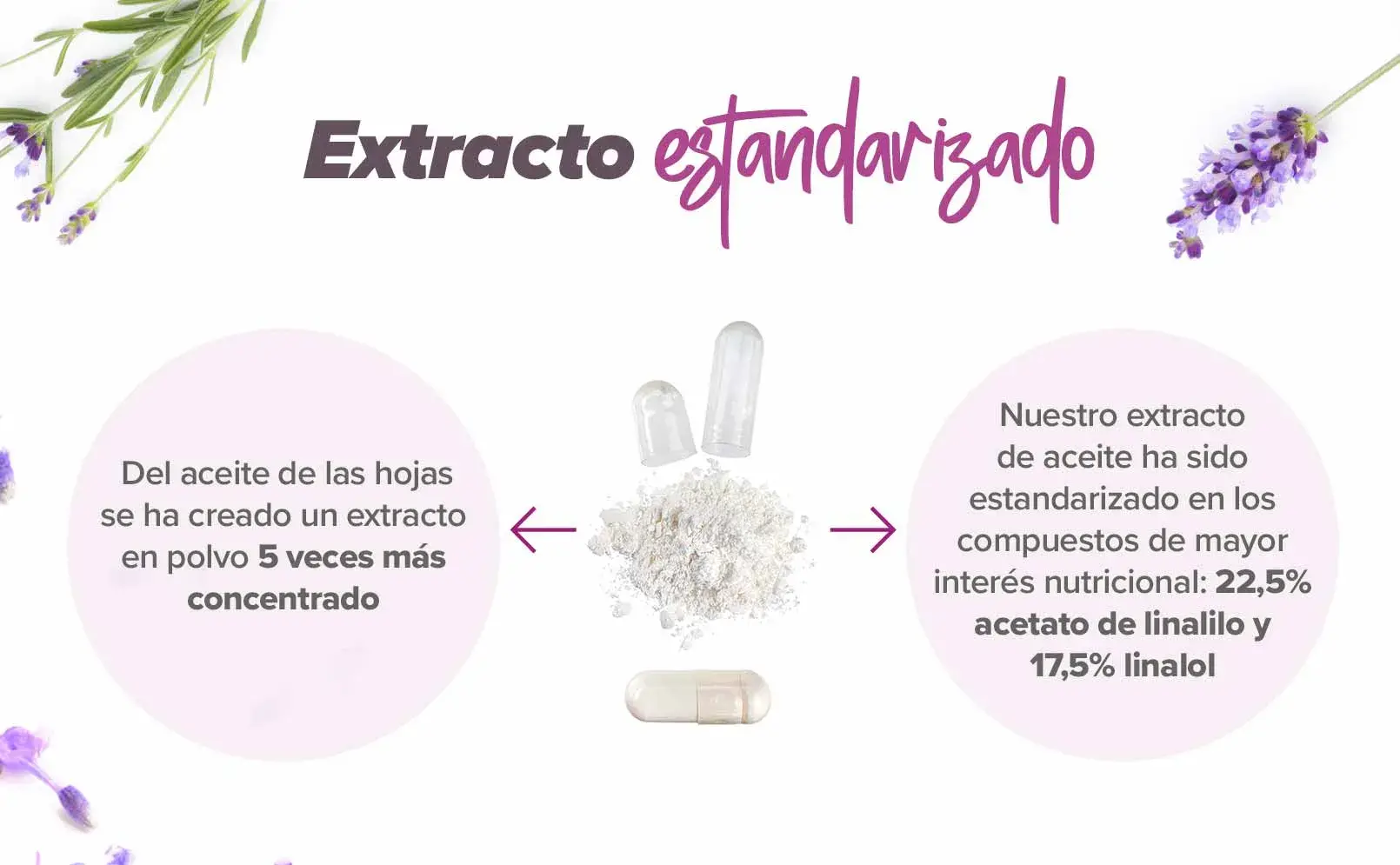 Fplus 3 Lavanda