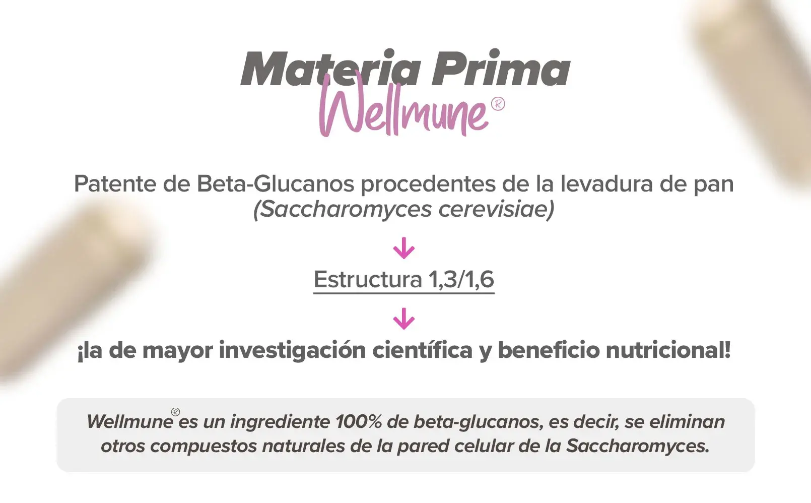 Fplus 3 Wellmune