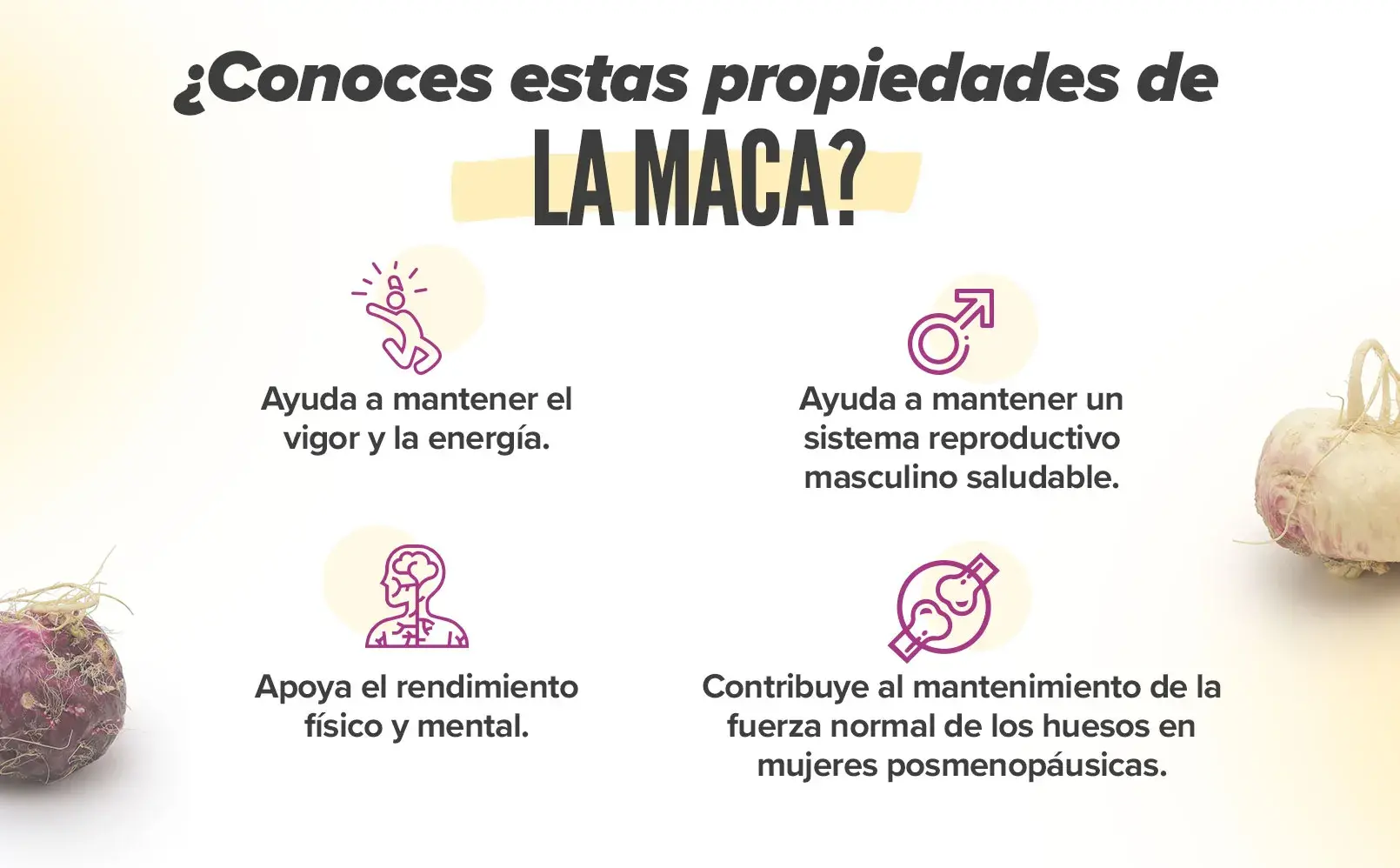 Fplus 3 Extracto de Maca Andina