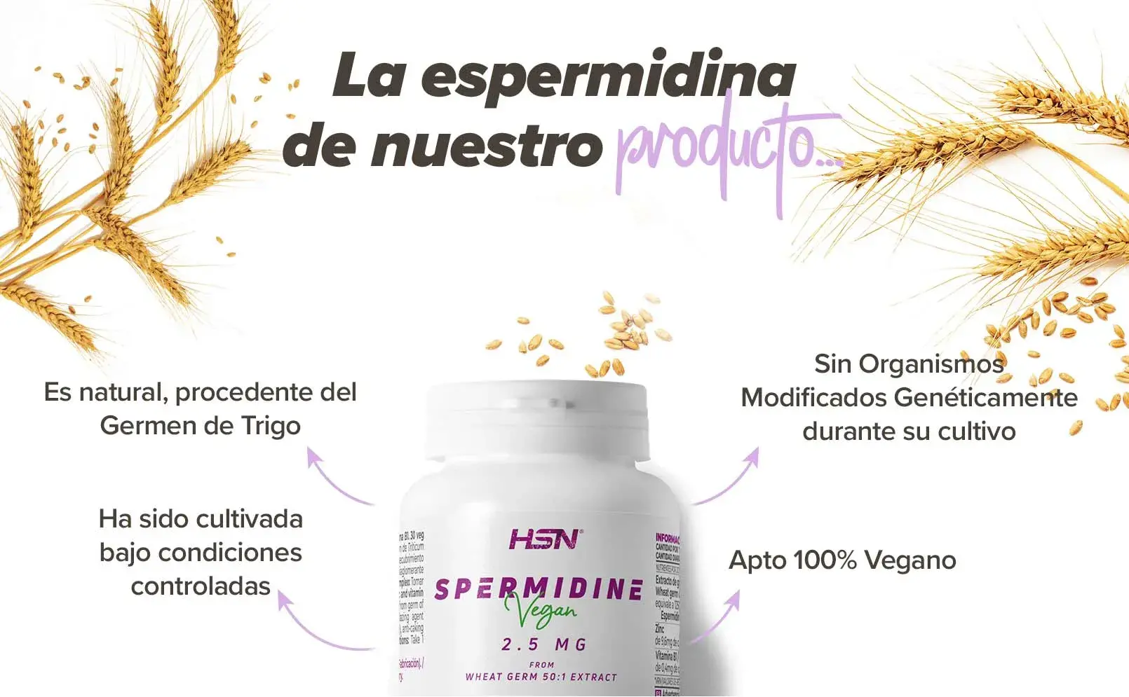Fplus 3 Espermidina