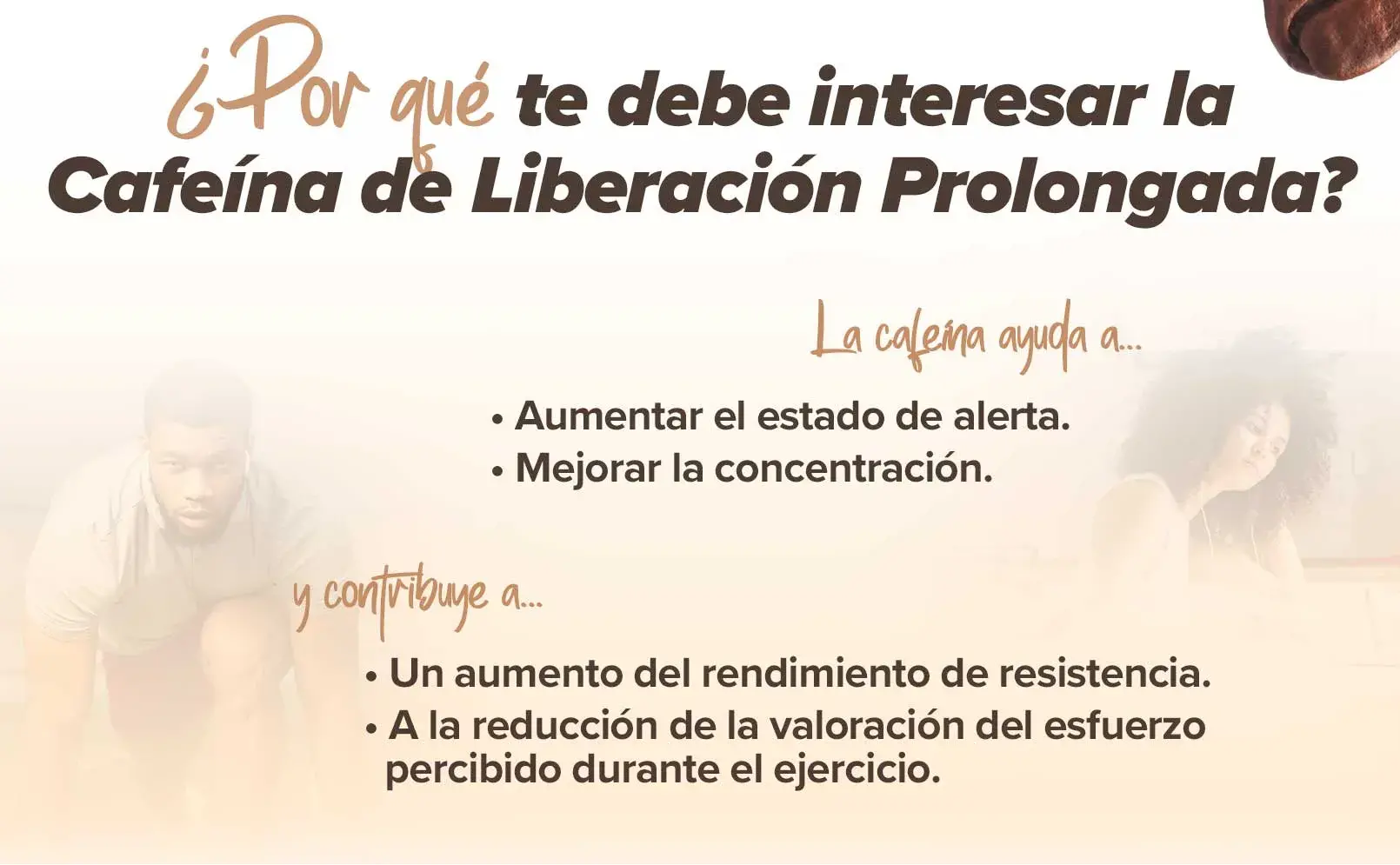 fplus 4 SR Cafeína