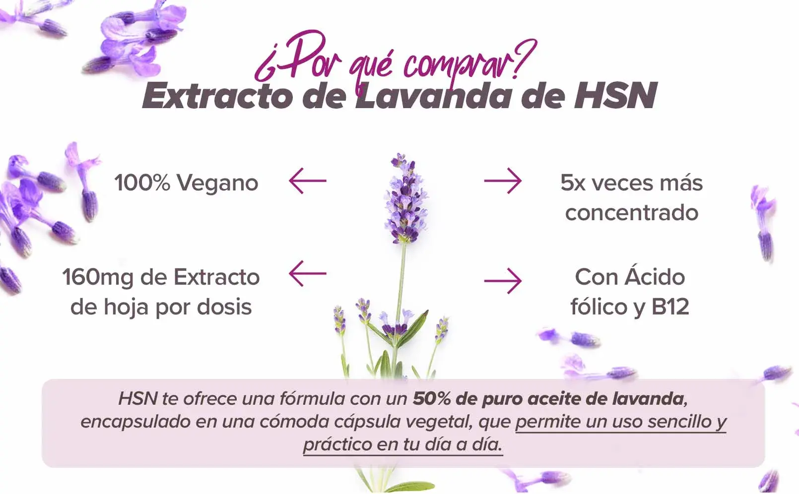 Fplus 4 Lavanda