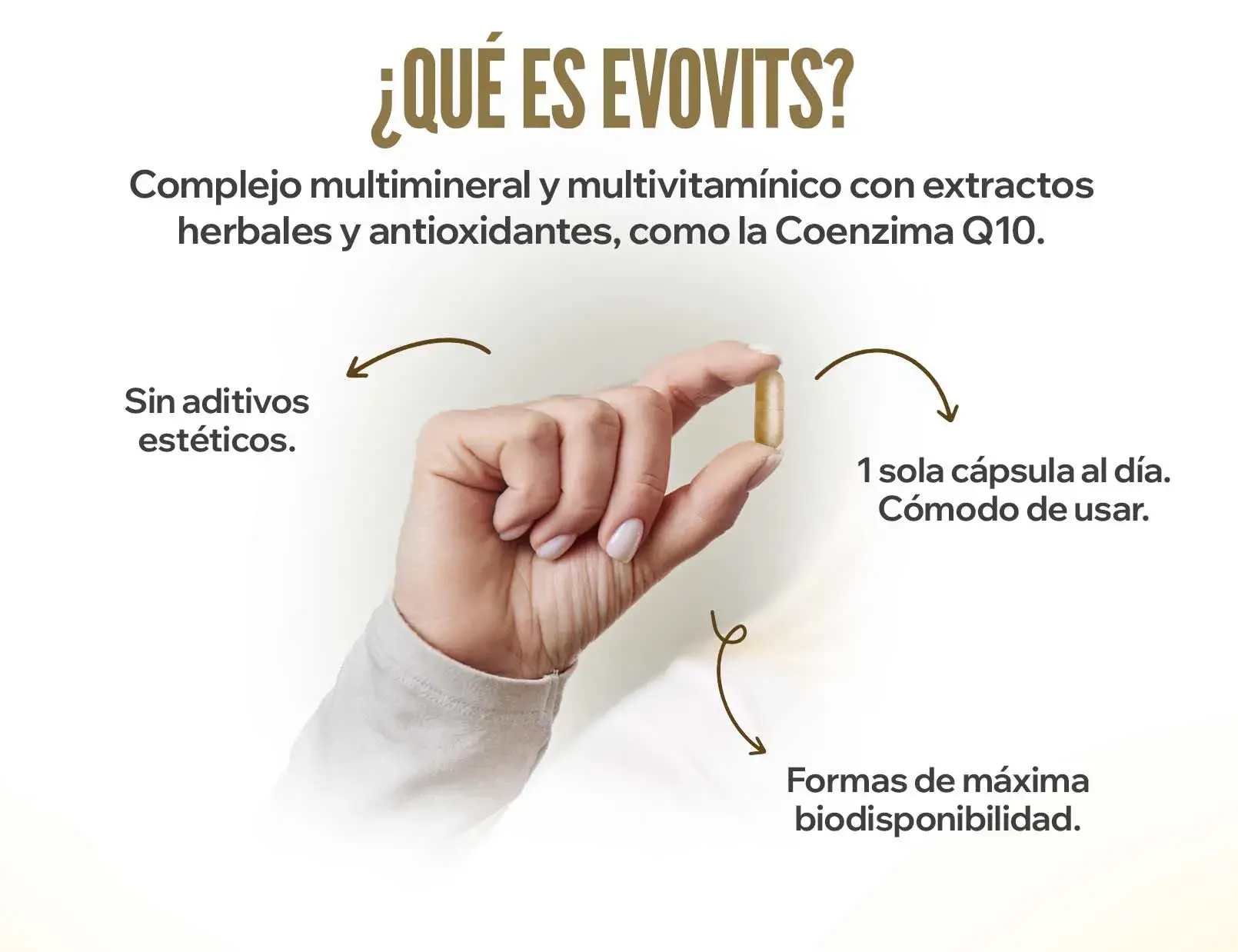 Evovits nueva fplus 1 v2