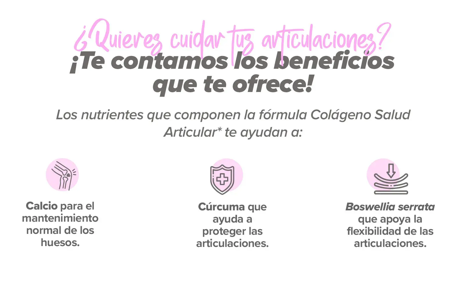 Fplus 2 Colágeno Salud Articular