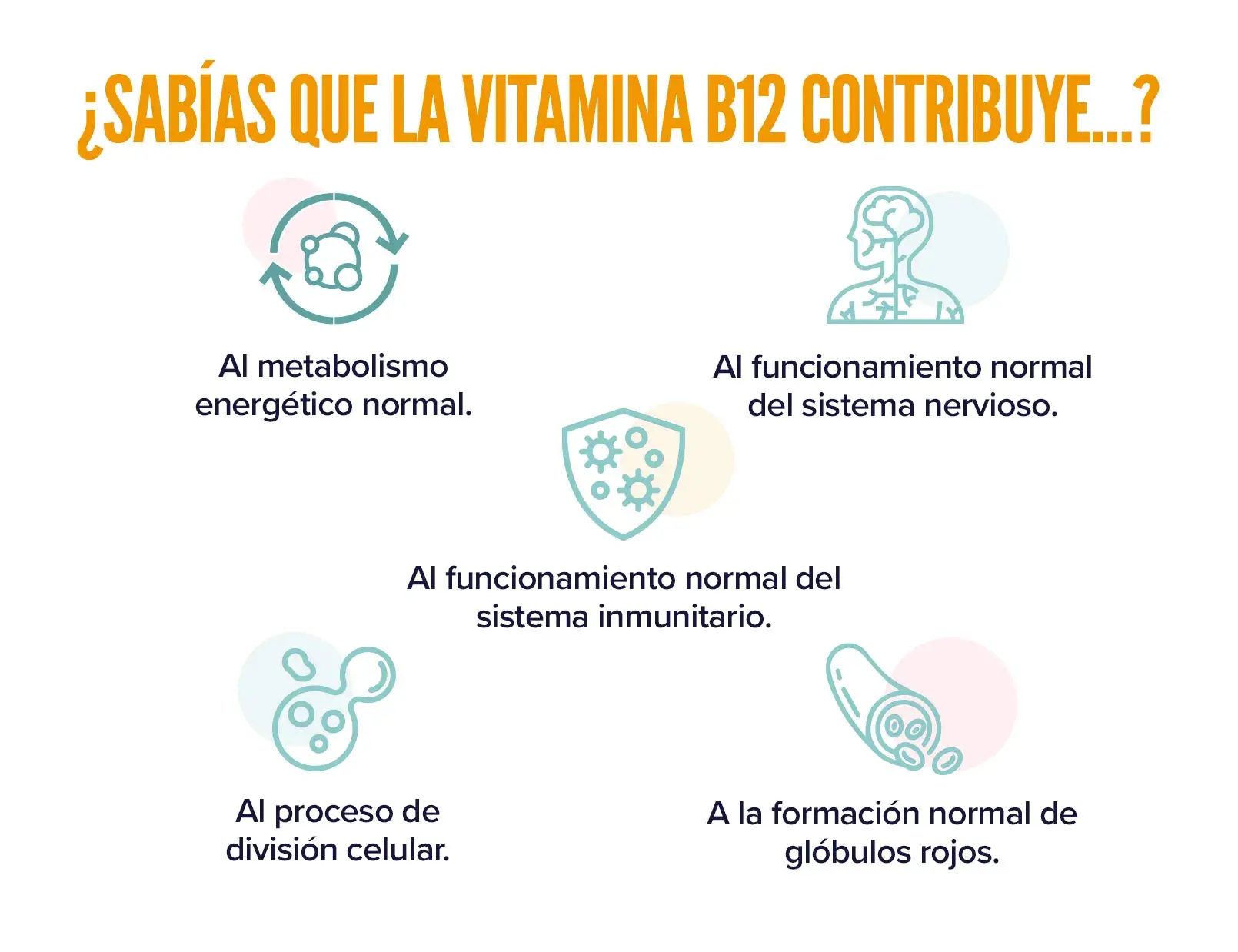 Fplus 2 Metilcobalamina