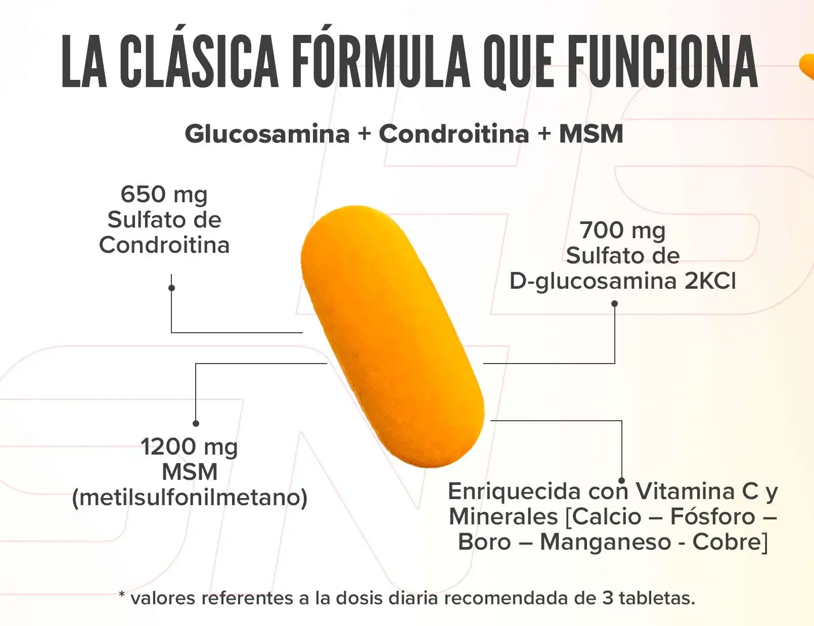 Fplus 3 Evoflex