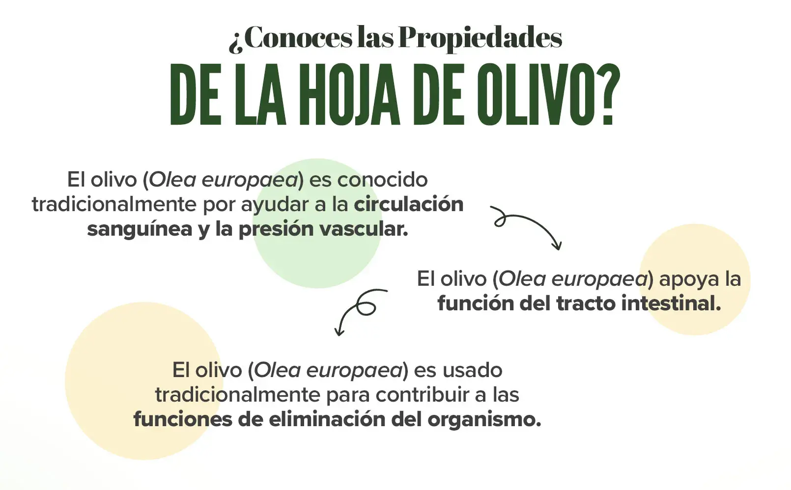 Fplus 3 Extracto de Hoja de Olivo