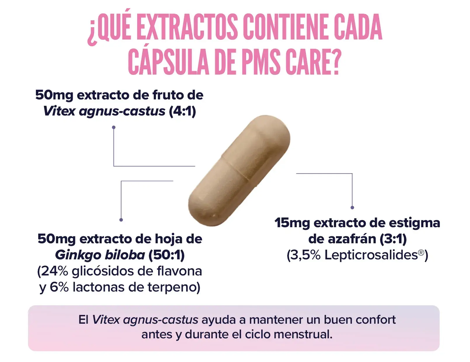 Fplus 3 PMS Care