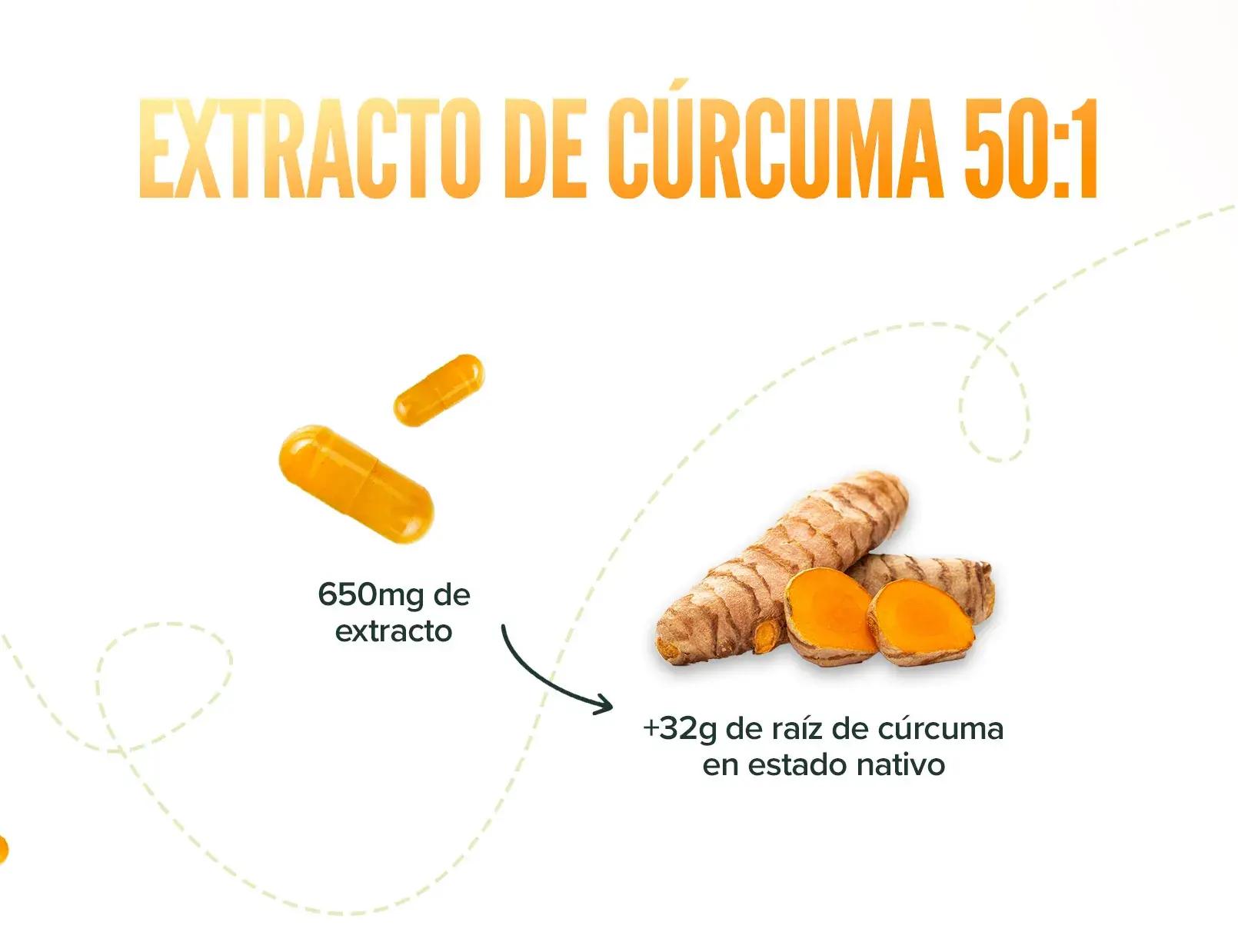 Fplus 3 Extracto de Cúrcuma