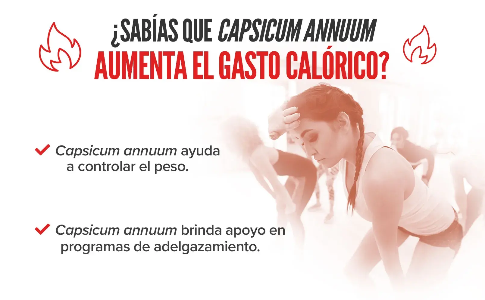Fplus 3 Ultra Cayena