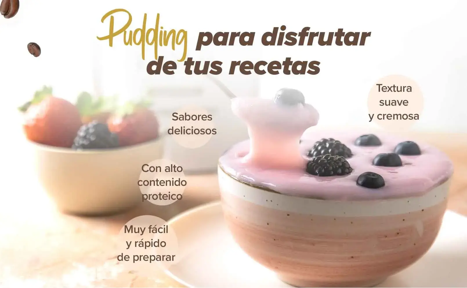 Fplus 4 Pudding Proteico