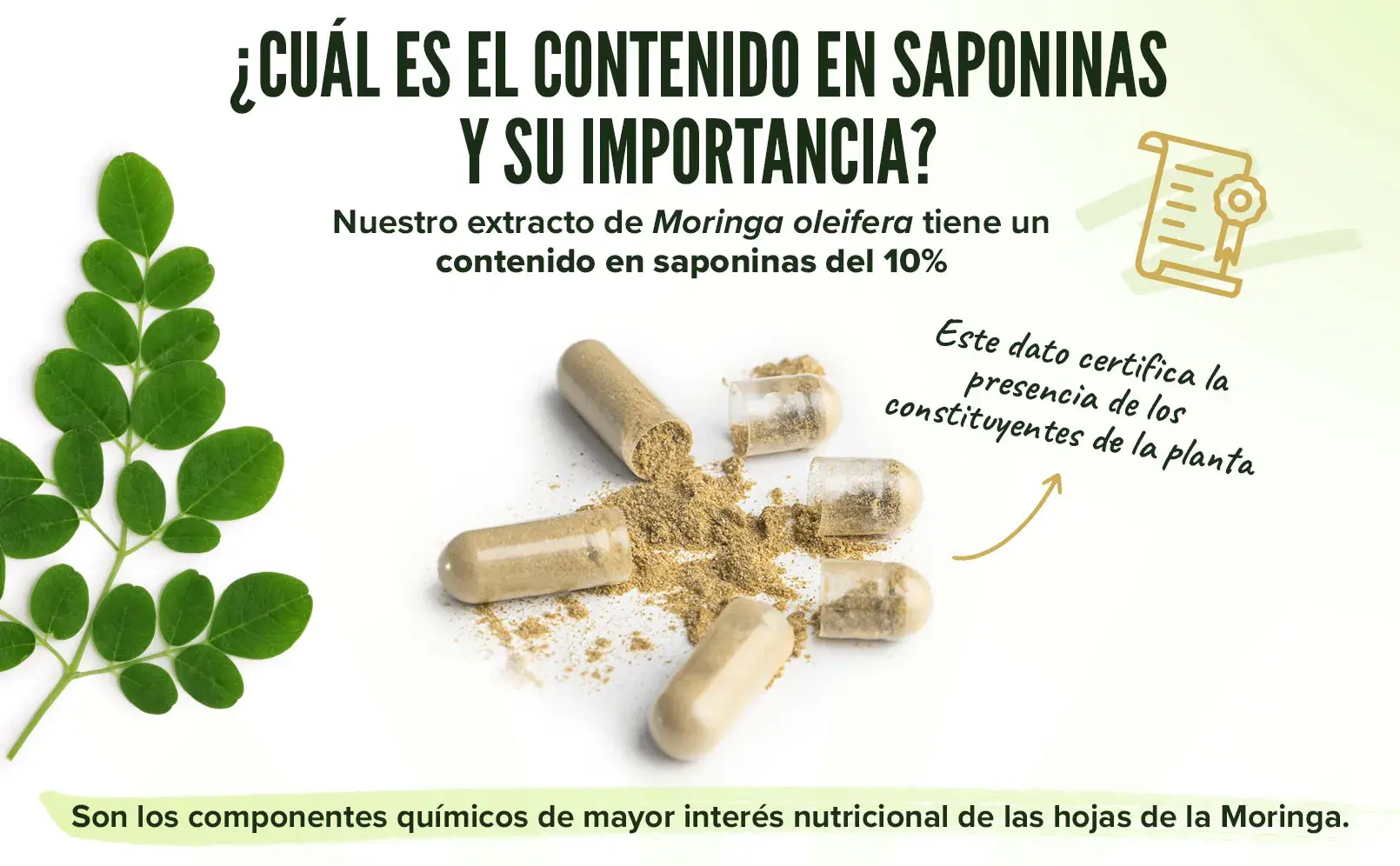 Fplus 5 Moringa
