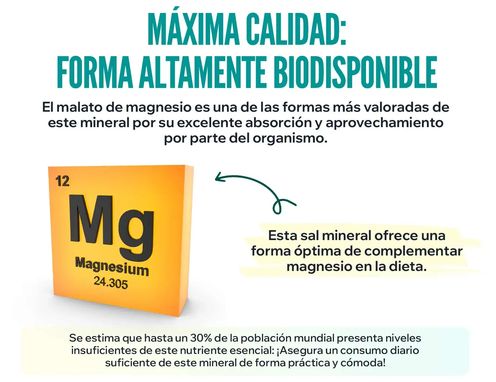 Fplus 2 malato de magnesio