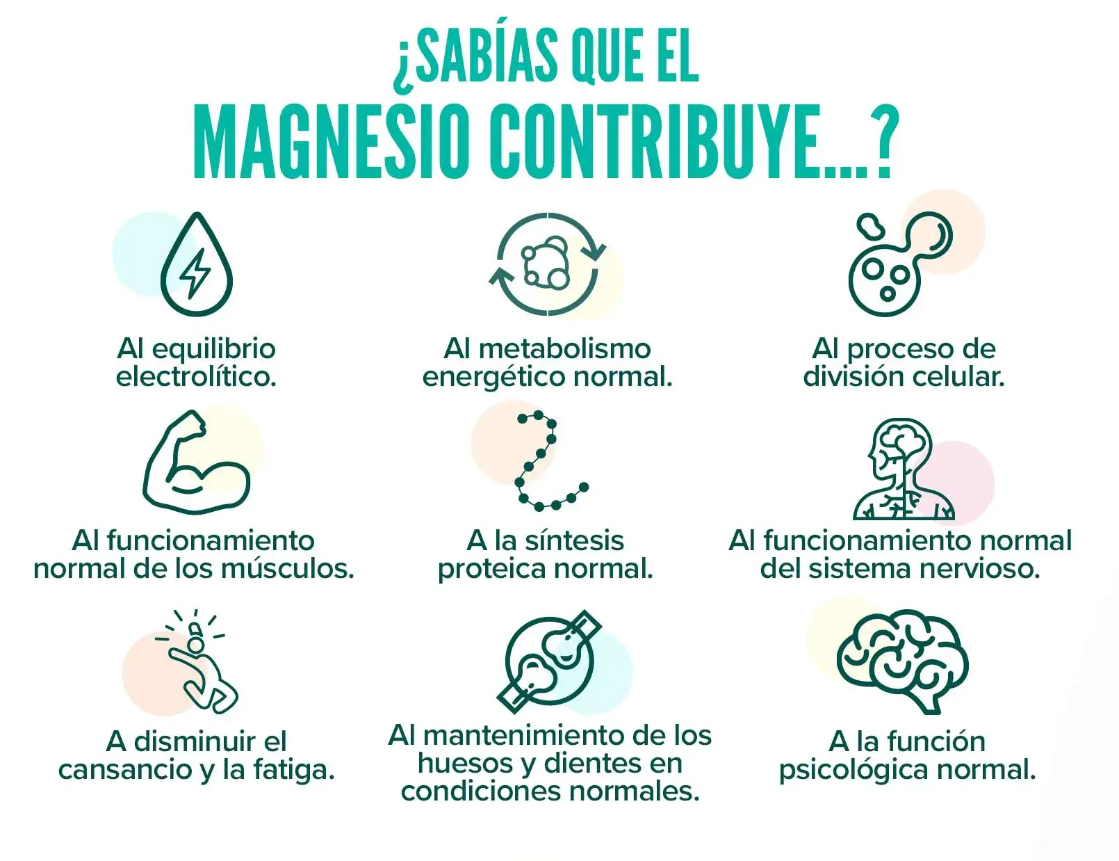 fplus 4 bisglicinato de magnesio en polvo