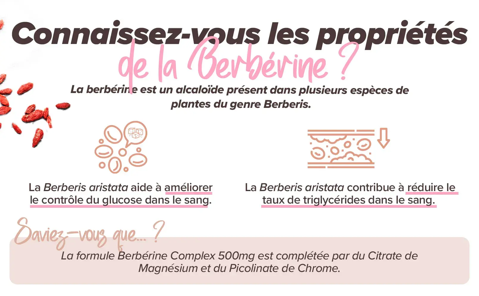 Fplus 2 Berberina