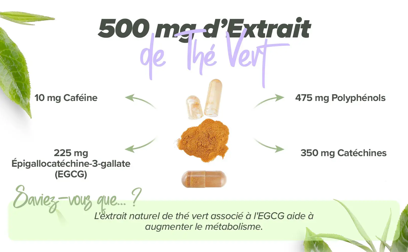 Fplus 2 Té verde