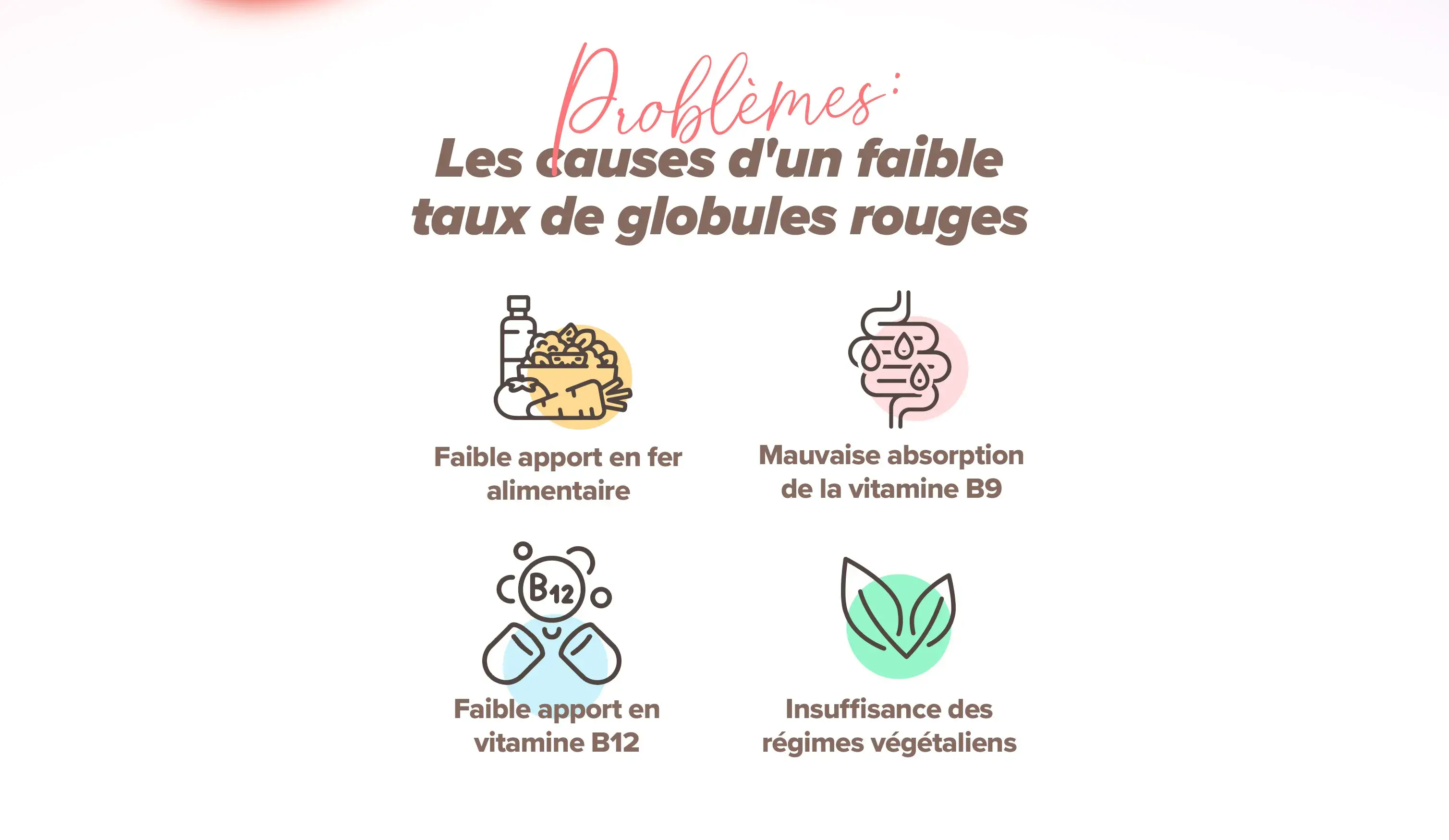 Fplus 2 Hemo Care