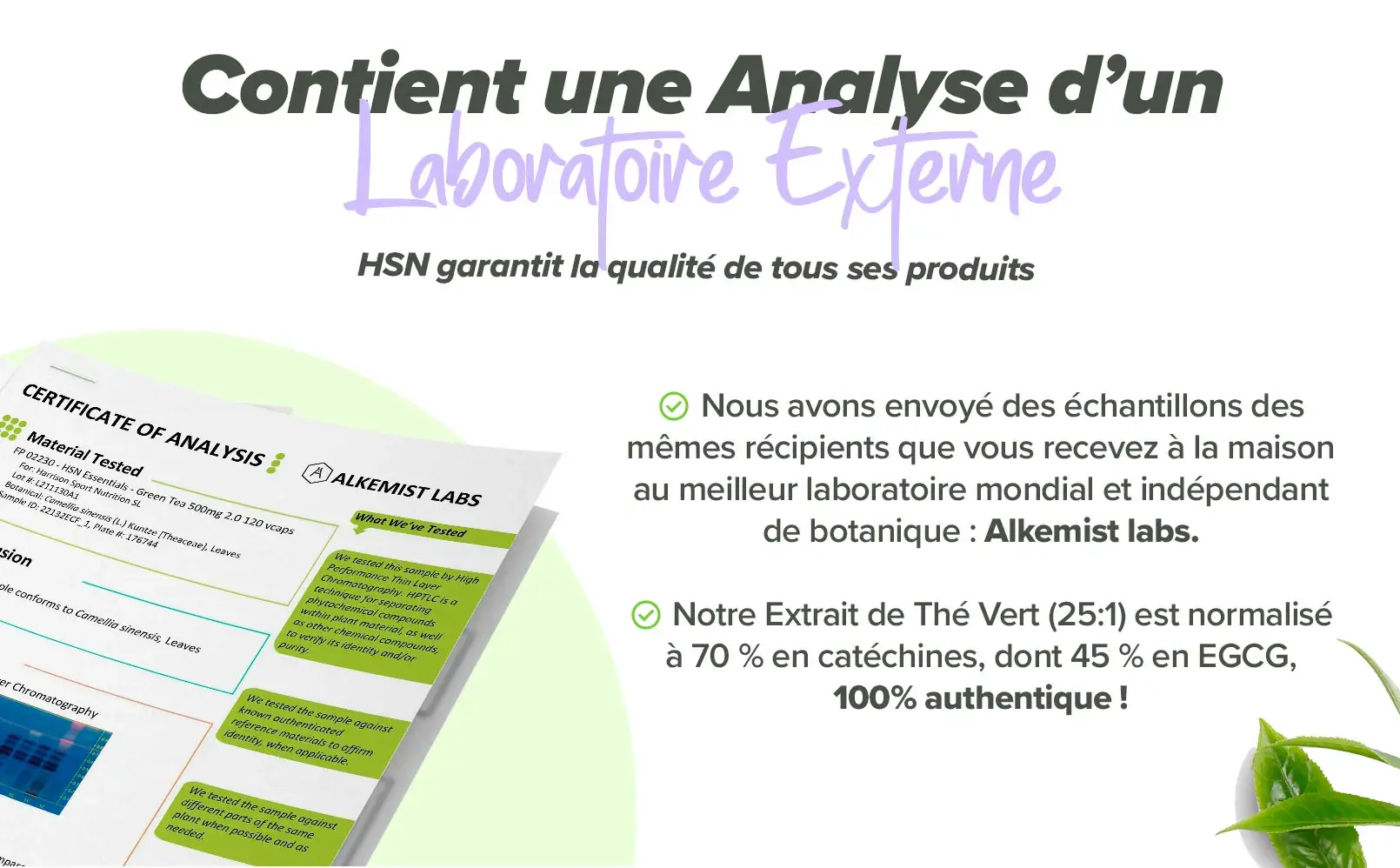 Fplus 3 Té verde