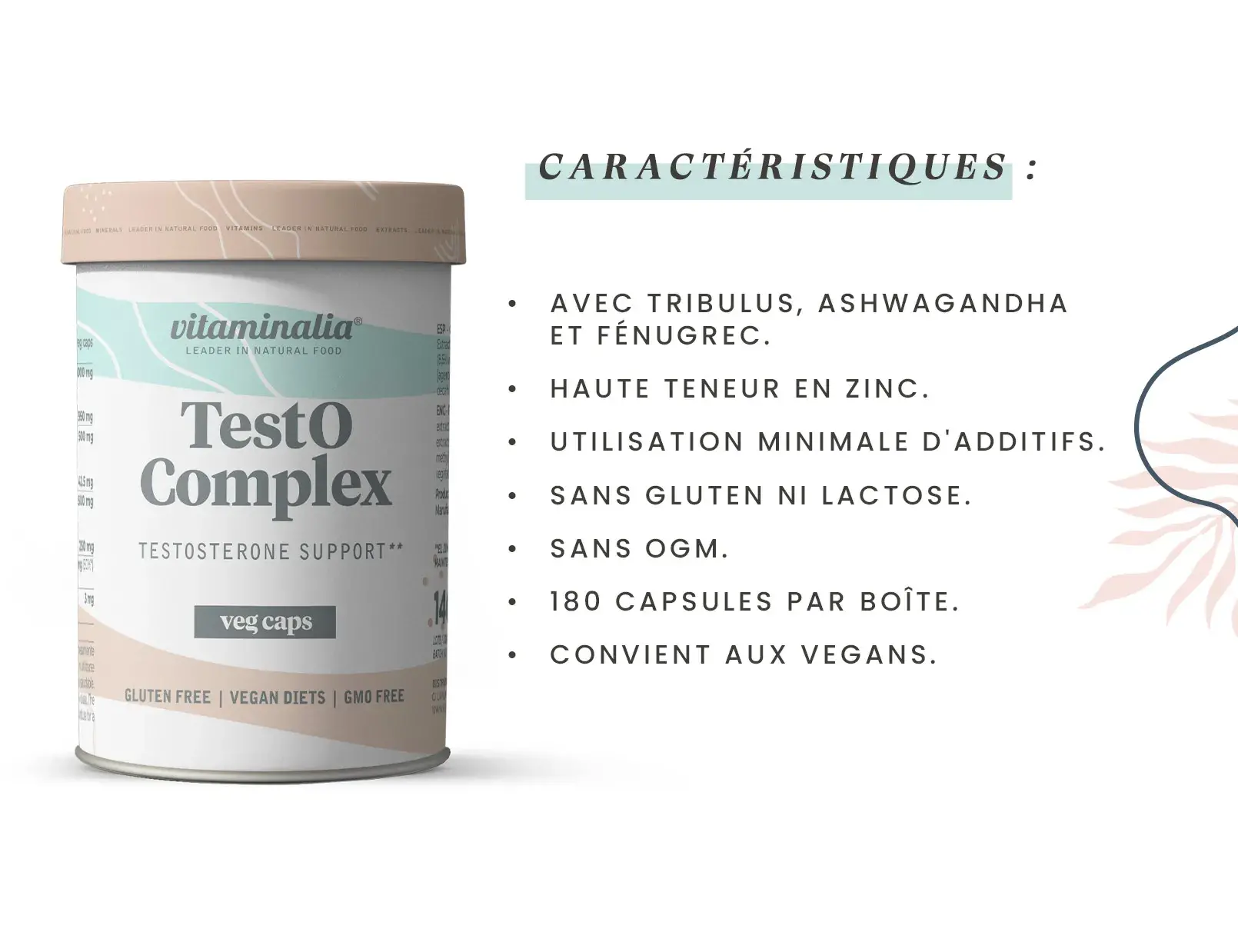 Fplus 2 Testo Complex