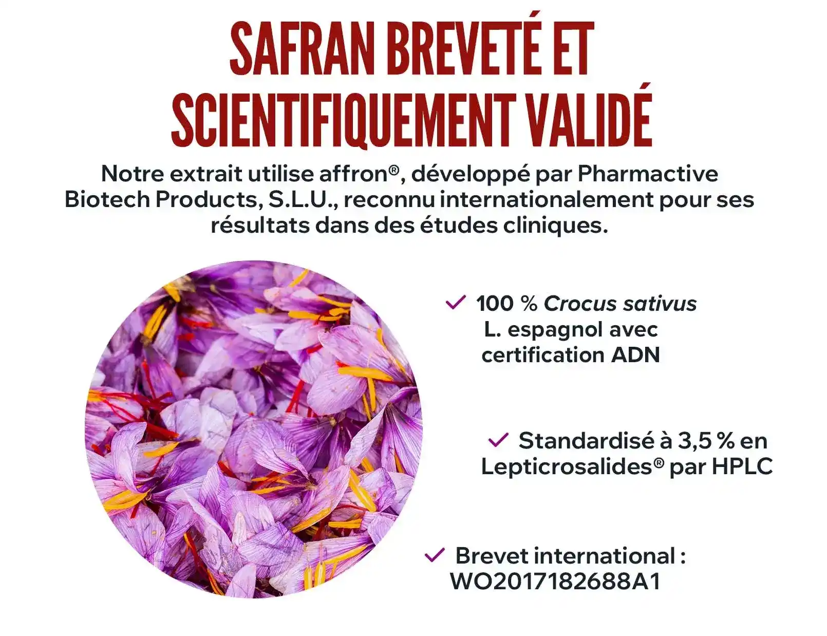 fplus 2 extracto de azafrán