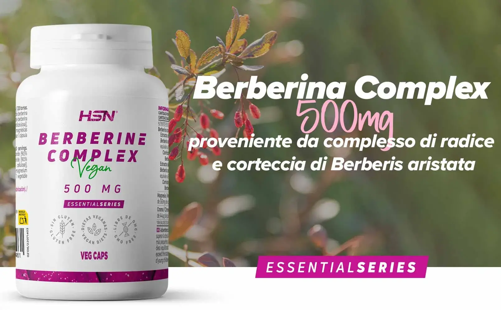 Fplus 1 Berberina