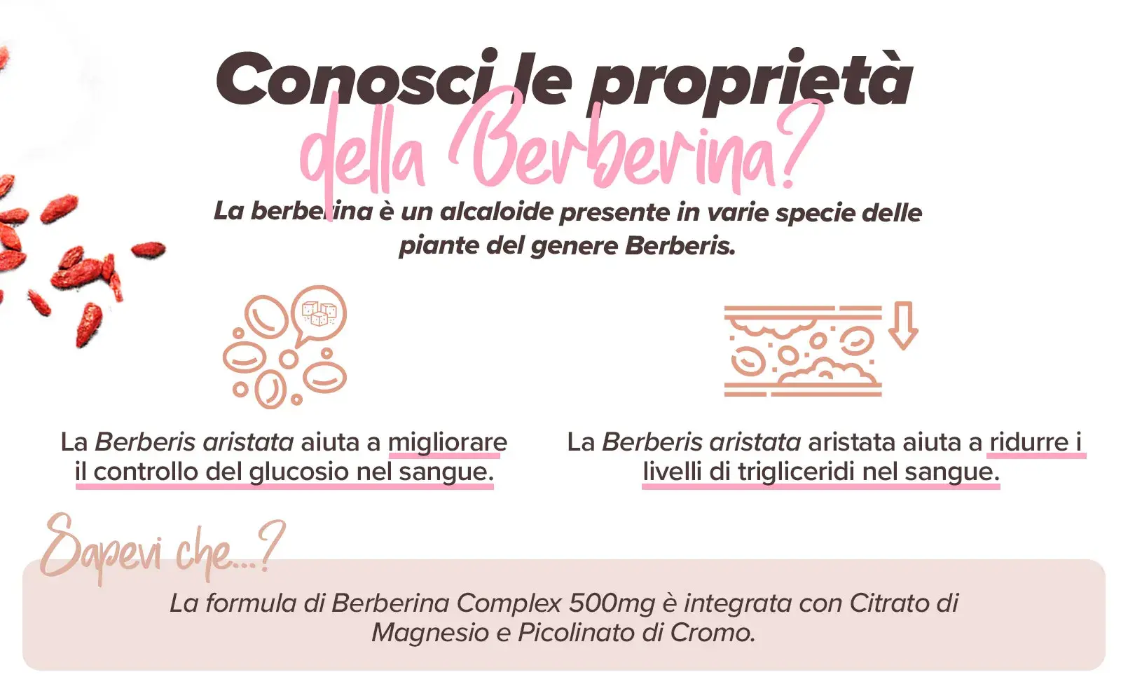 Fplus 2 Berberina
