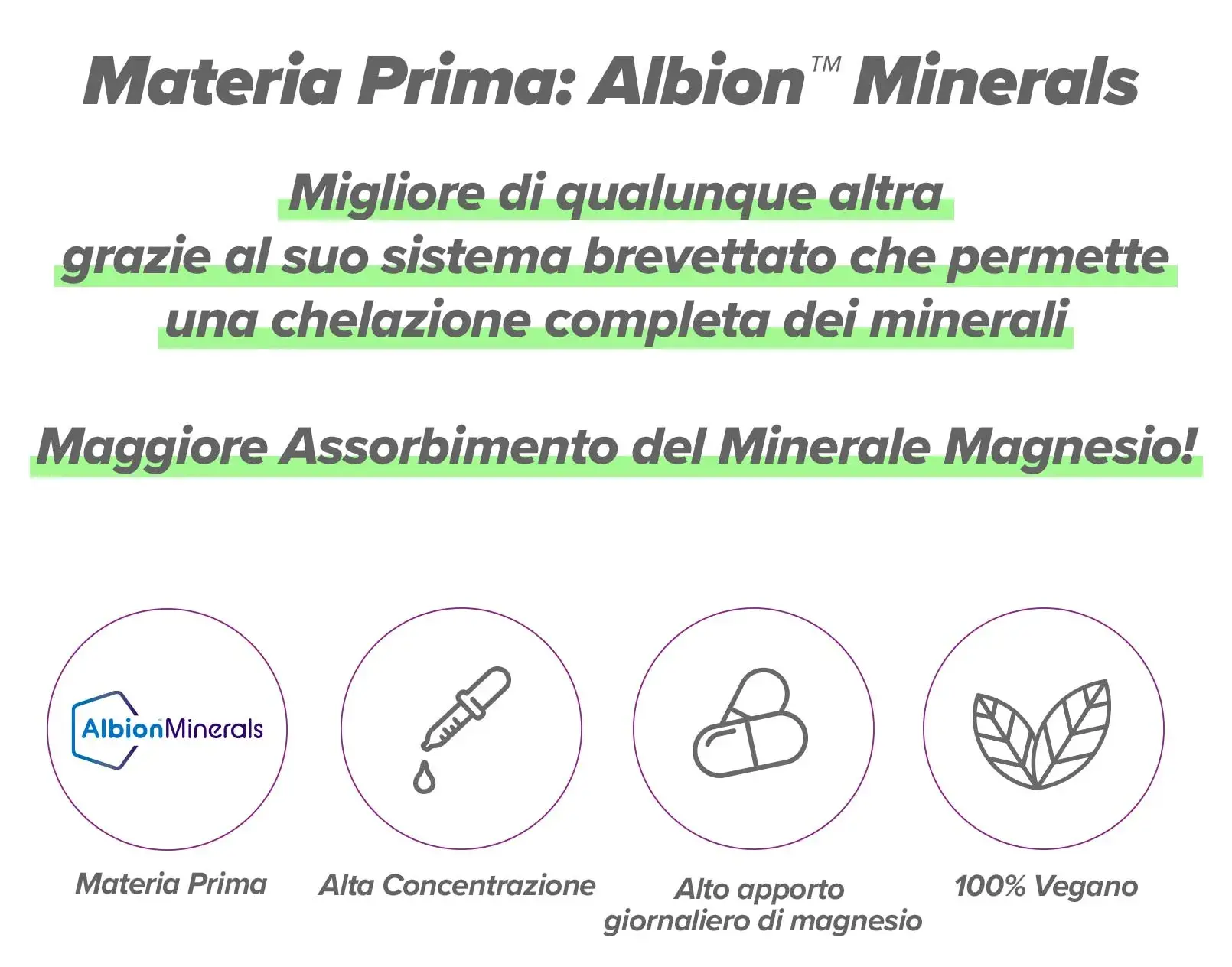 Info 2 Magnesio Albion