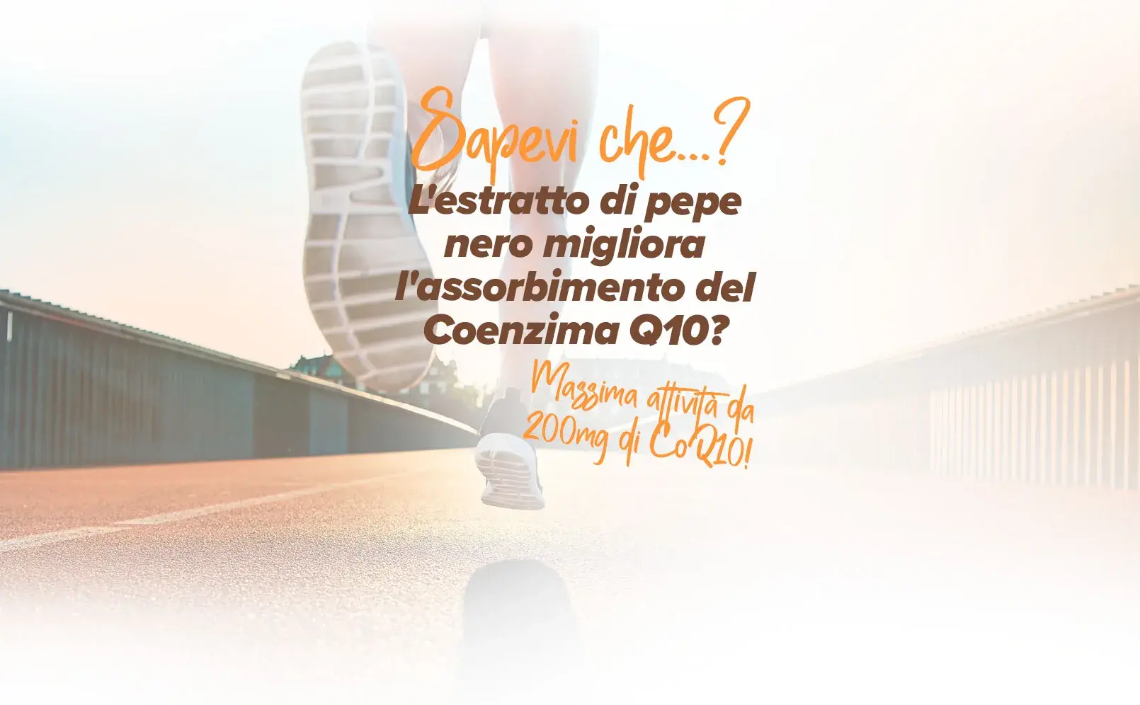 Fplus 2 Coenzima Q10 + BioPerine