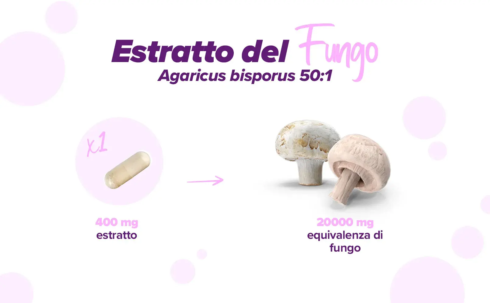 Fplus 2 H2OSlim