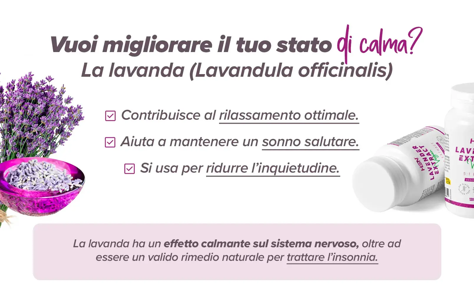 Fplus 2 Lavanda