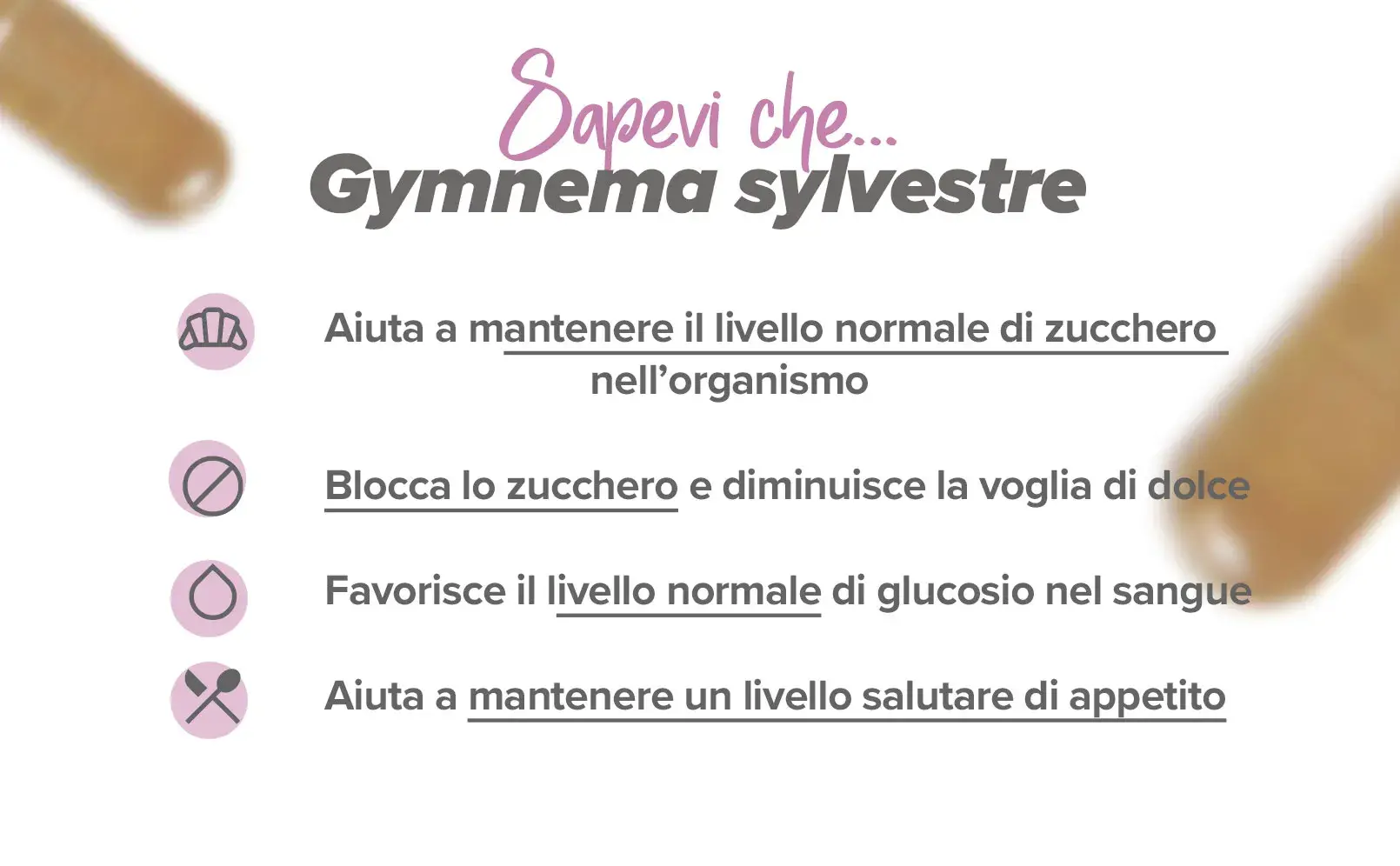 Info 2 Gymnema
