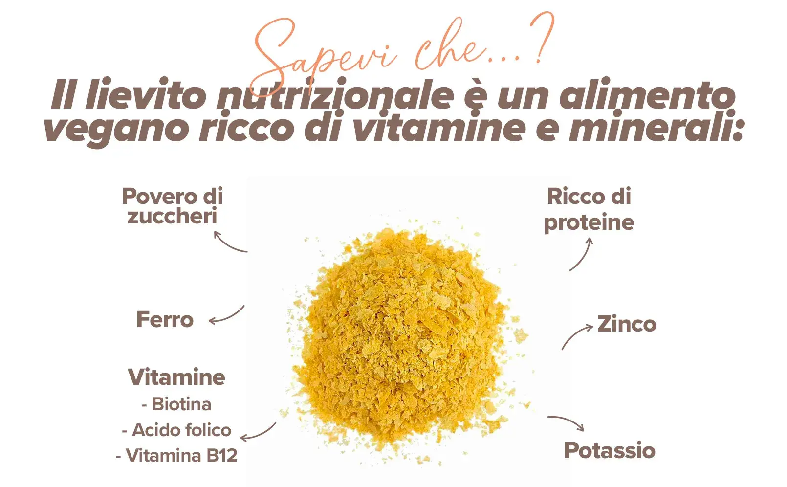 Fplus 2 Lievito nutrizionale