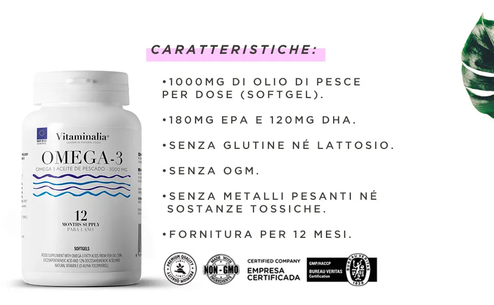 Info ffplus 1
