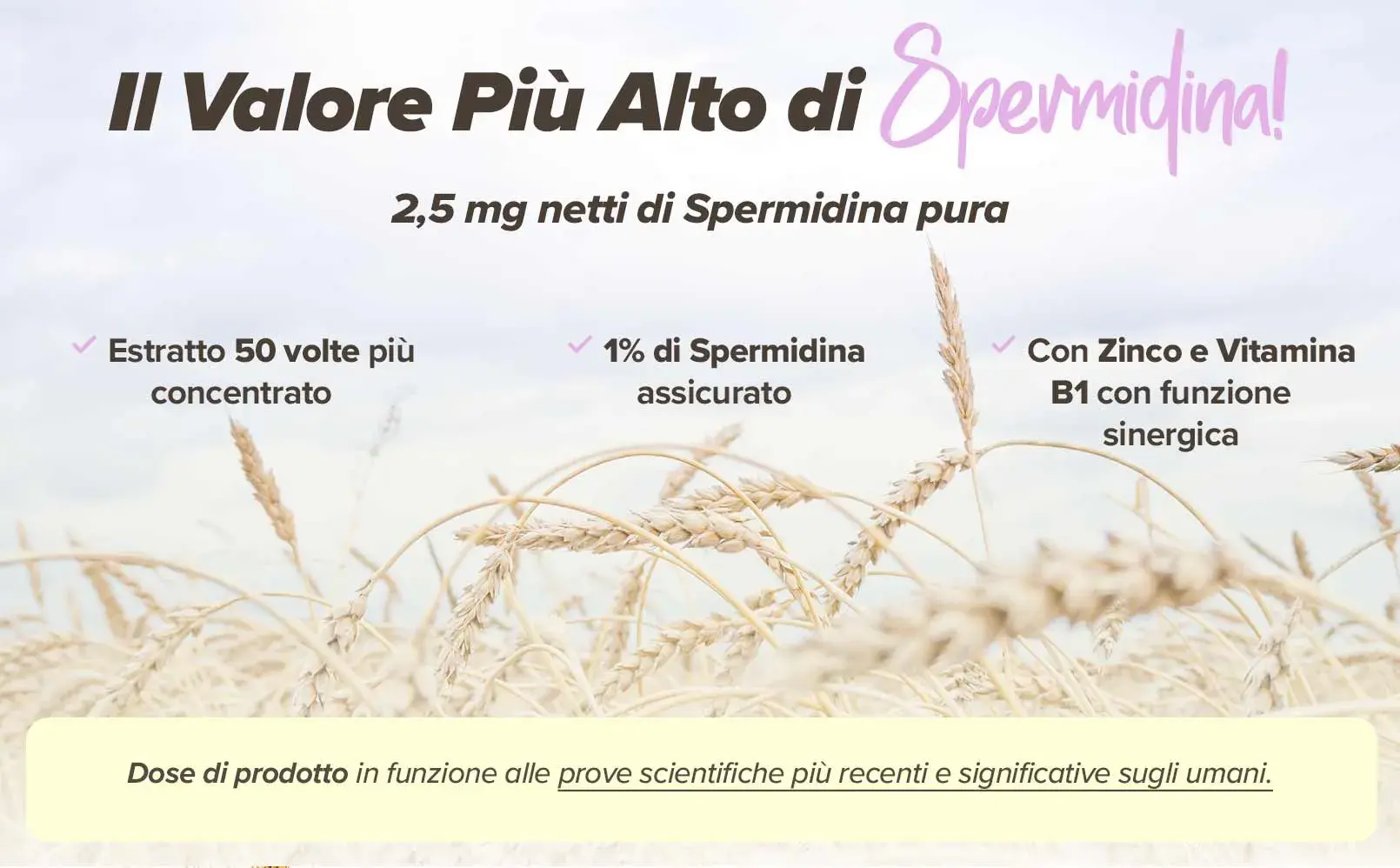 Fplus 2 spermidina