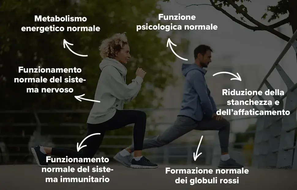 Info Vitamina B12 Liquida