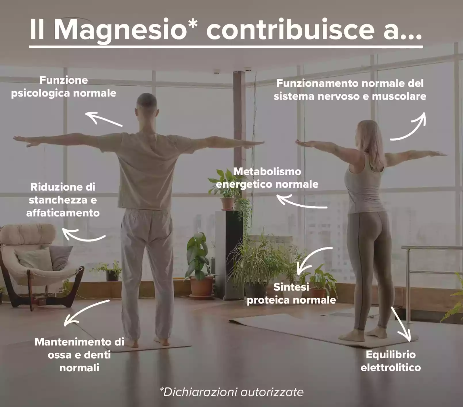 Info 3 Magnesio Albion