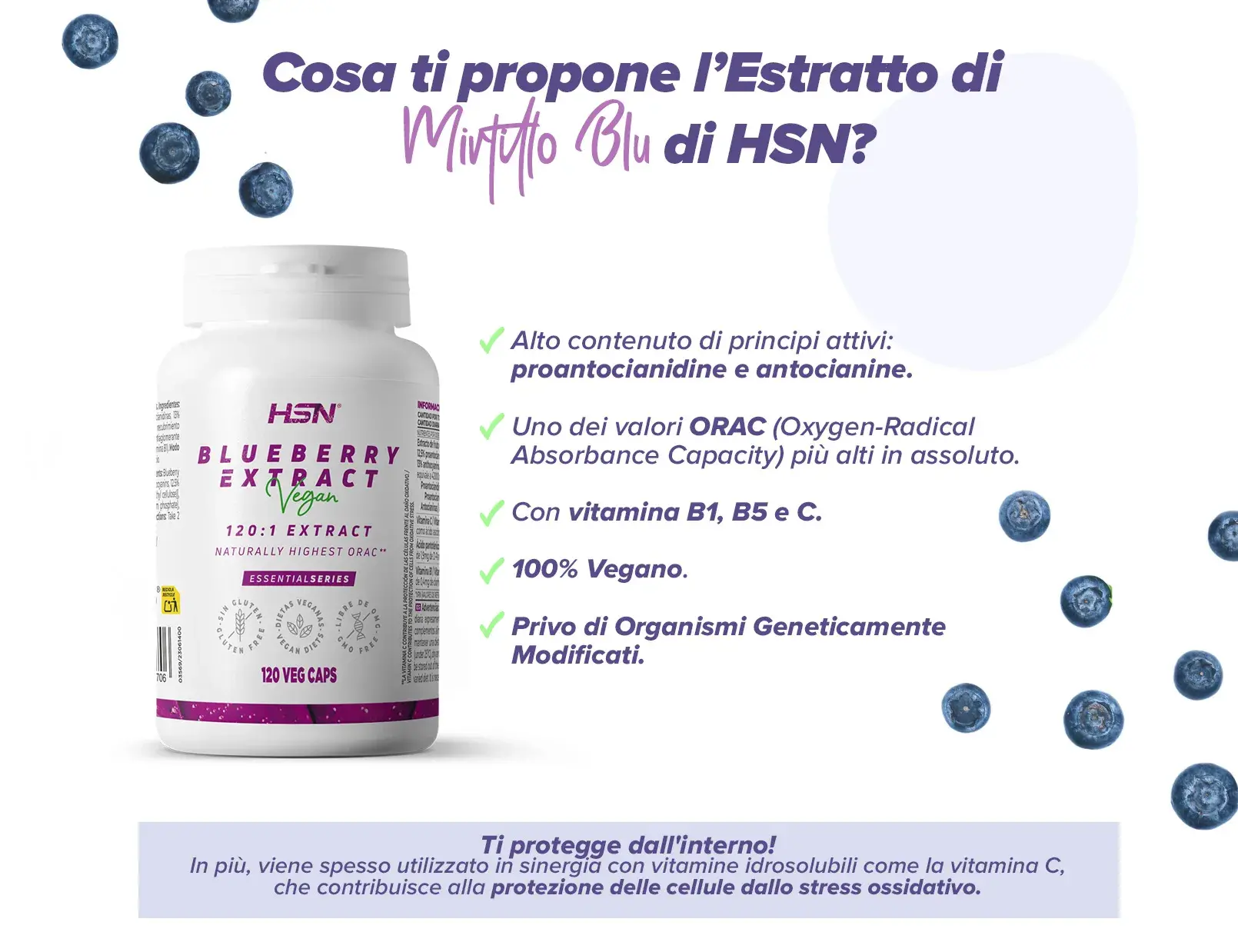 Fplus Blueberry 3