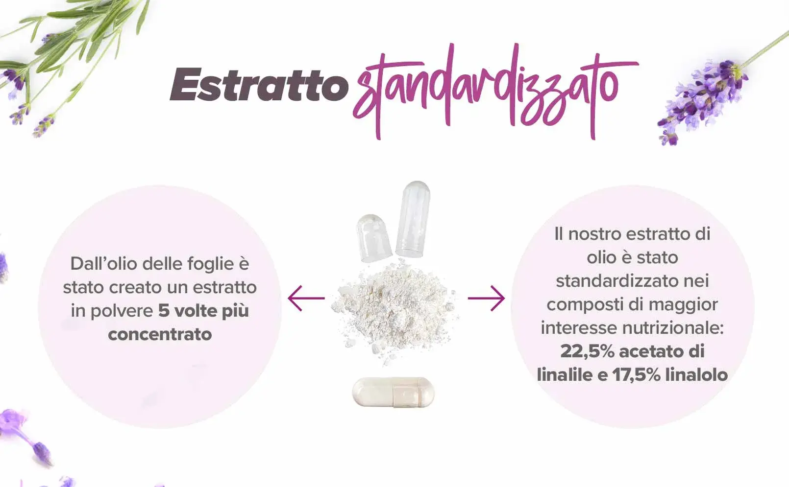 Fplus 3 Lavanda