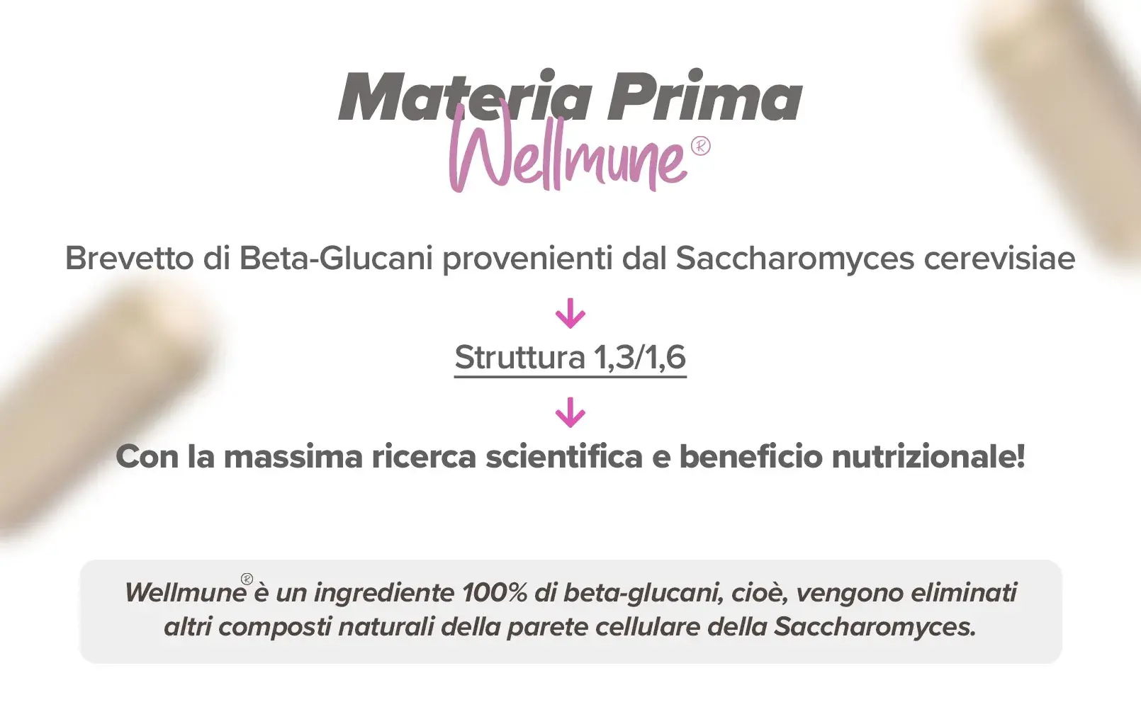 Fplus 3 Wellmune