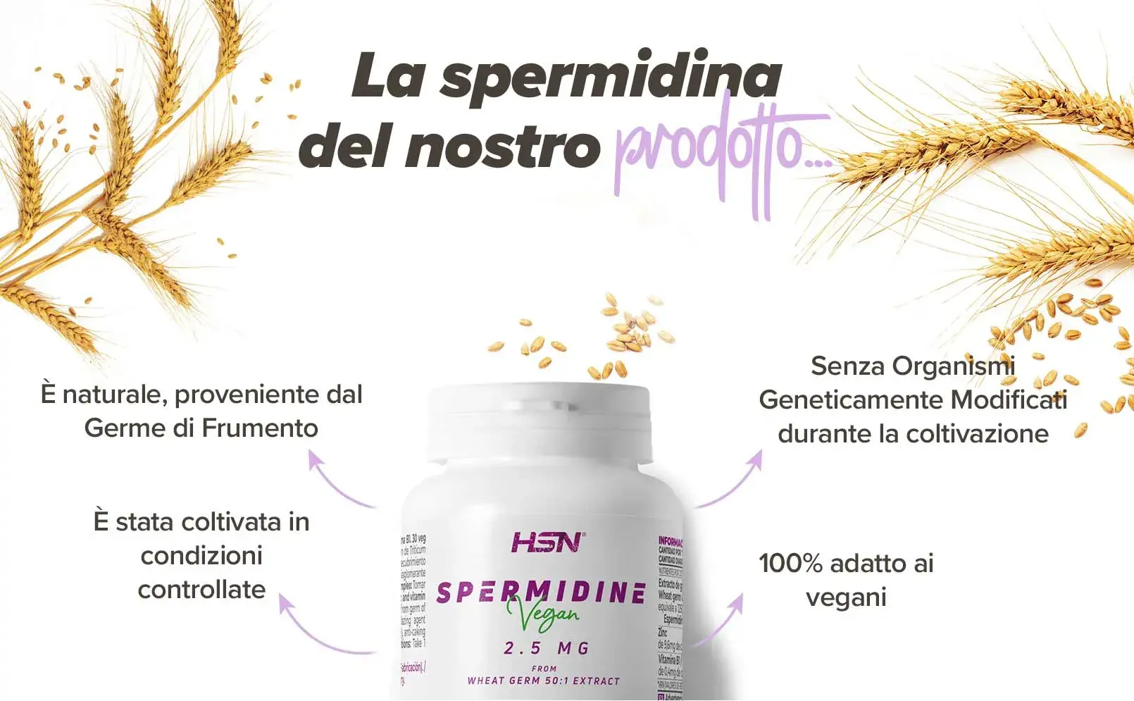 Fplus 3 spermidina
