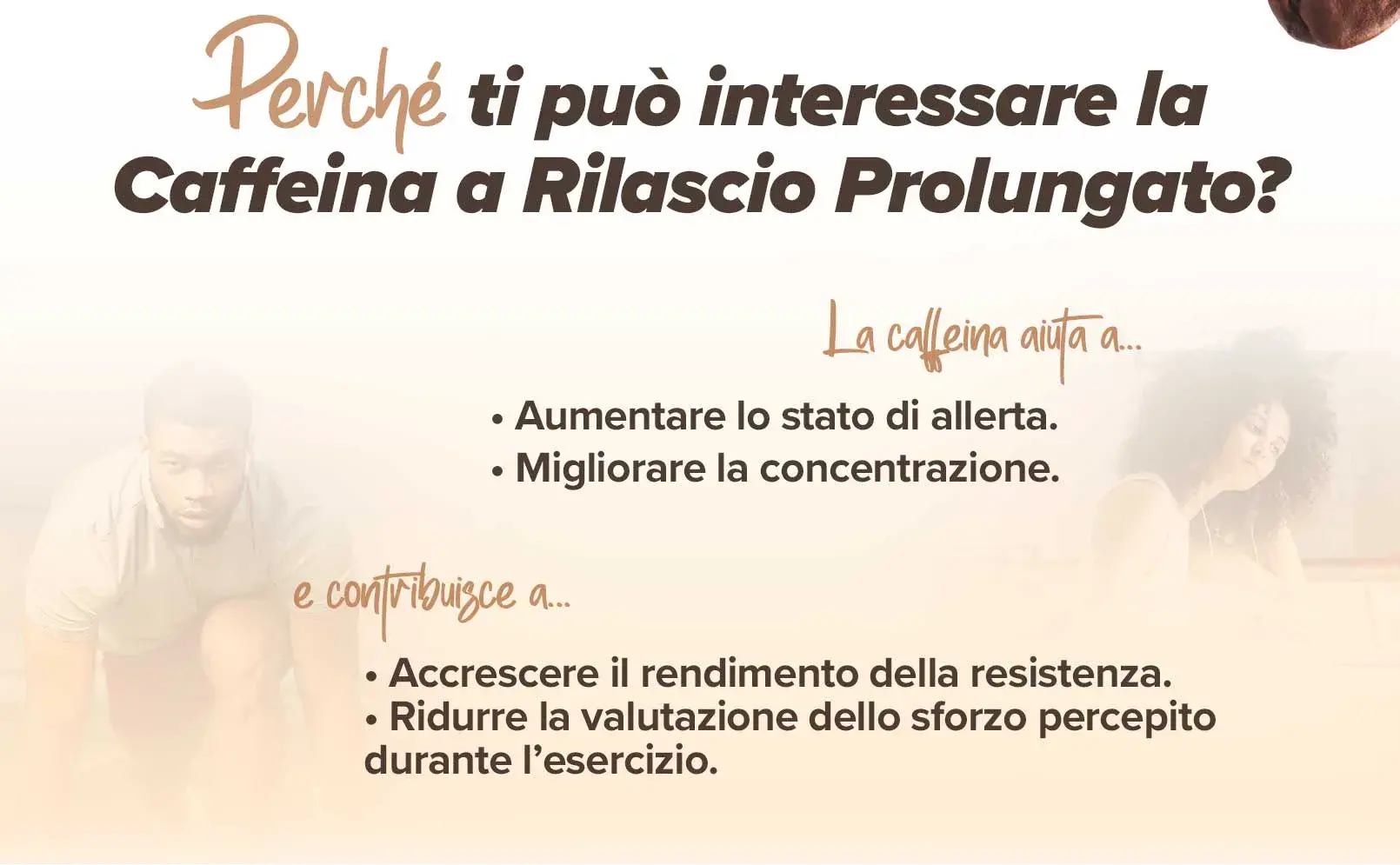 fplus 4 SR Cafe&iacute;na