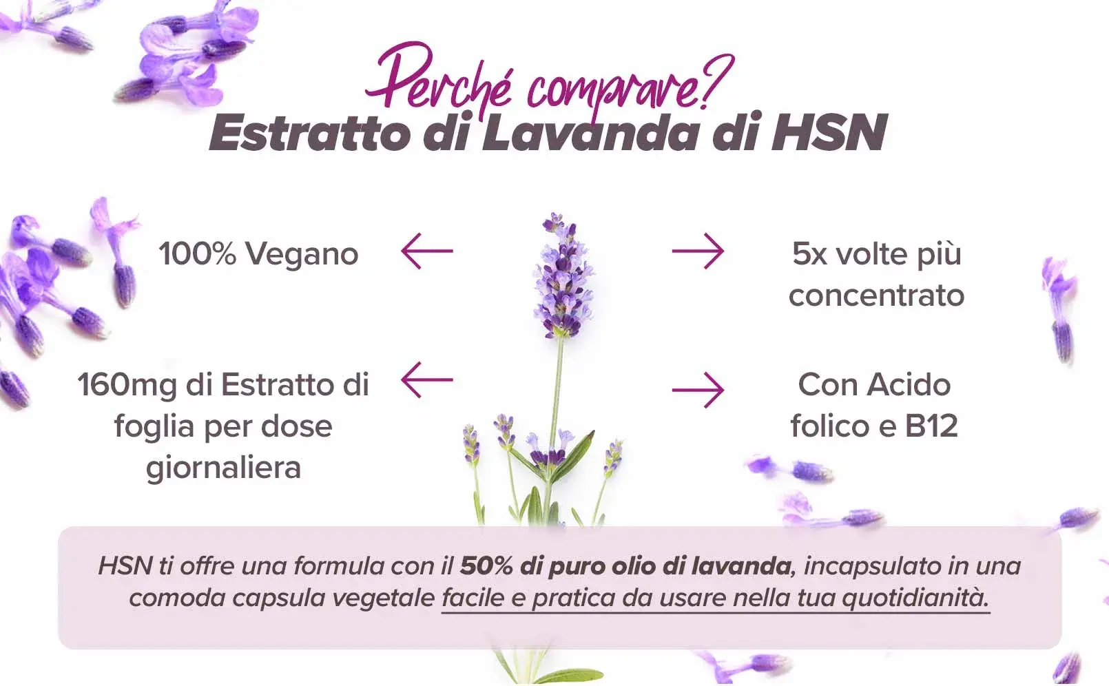 Fplus 4 Lavanda