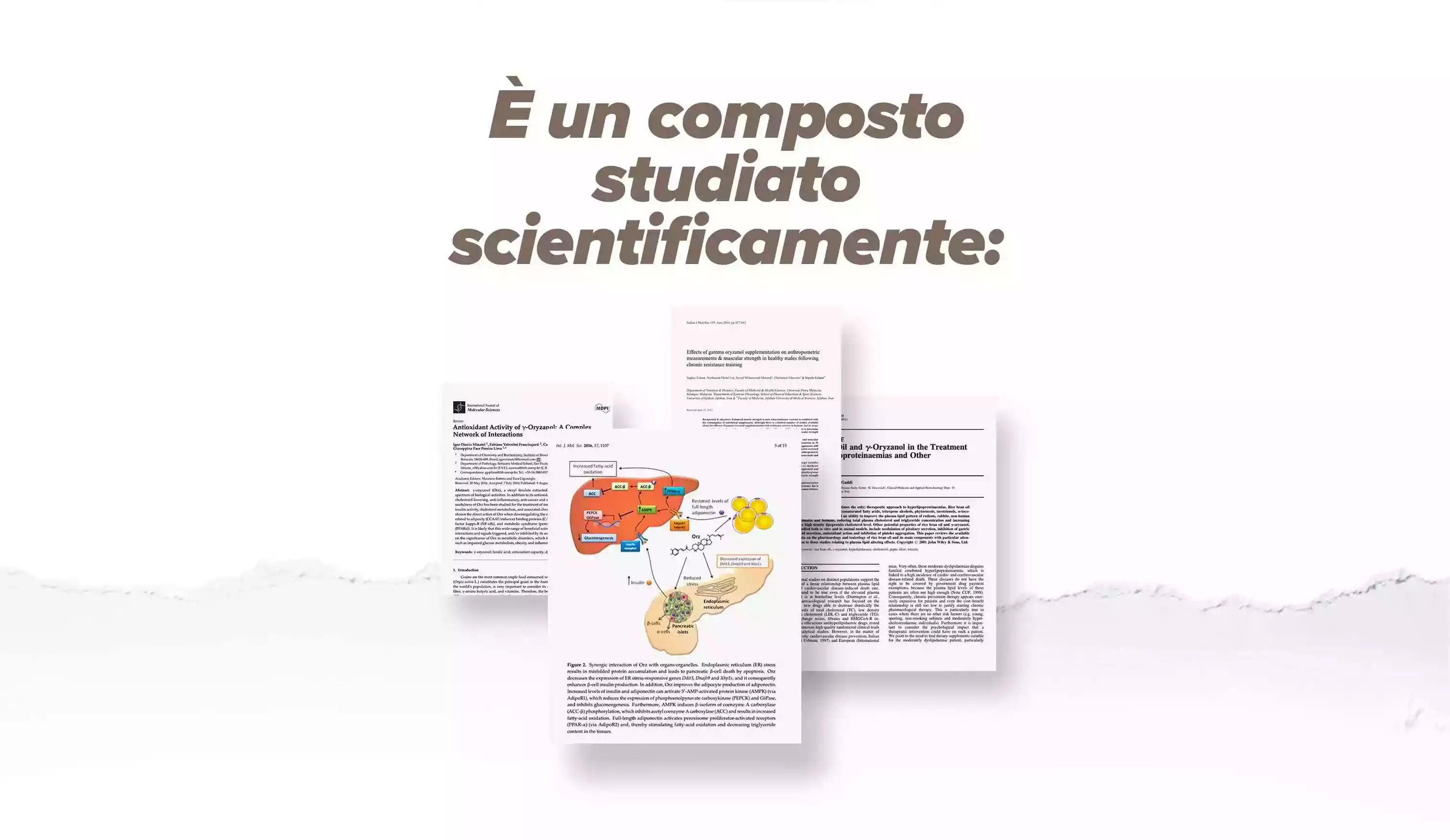 Flus 1 Gamma Orizanolo