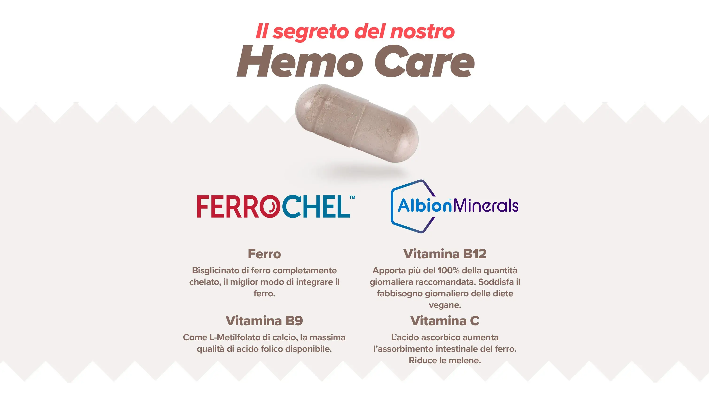 Fplus 4 Hemo Care