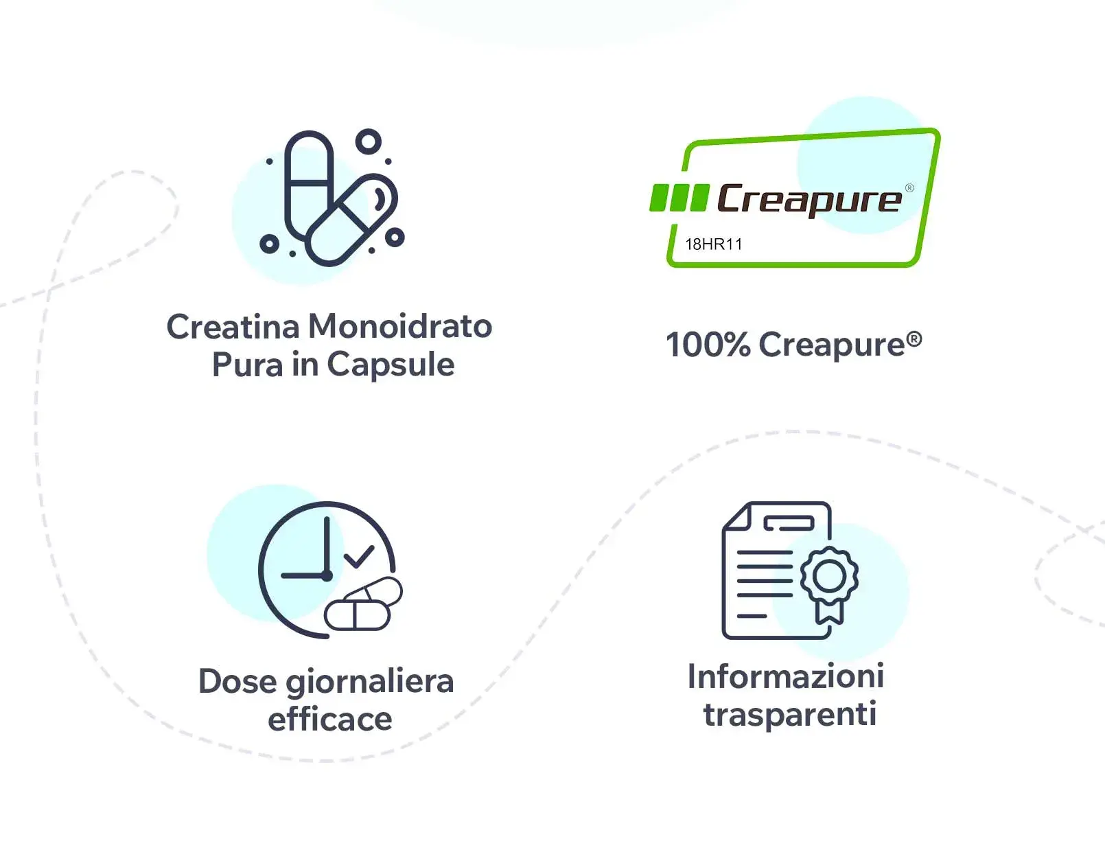 Fplus 2 Creatina Excell 1000mg