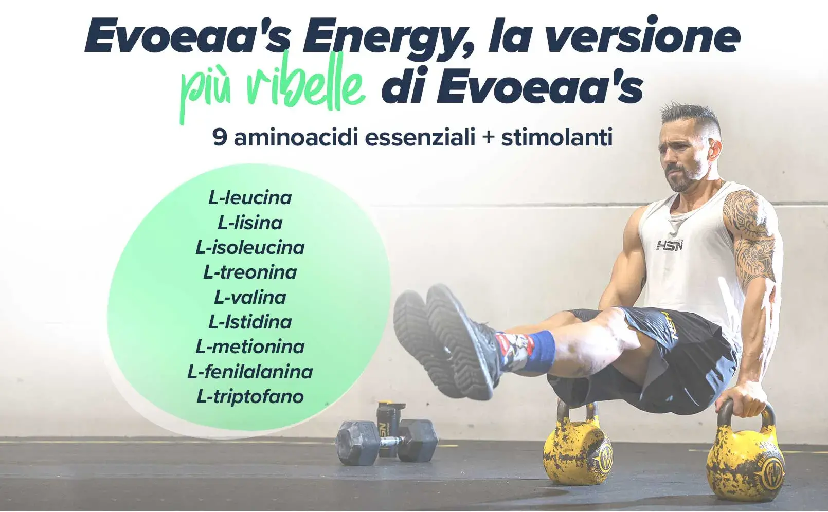 Fplus 2 Evoeaa