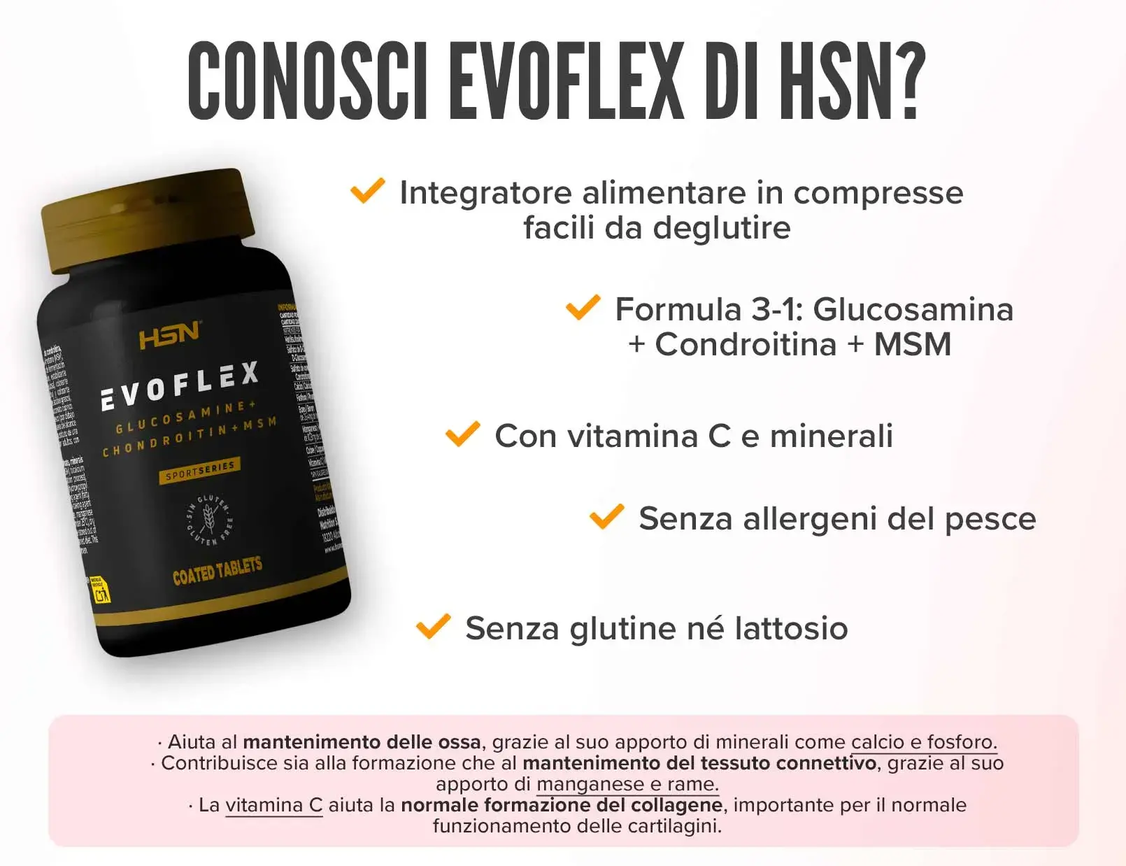 Fplus 2 Evoflex