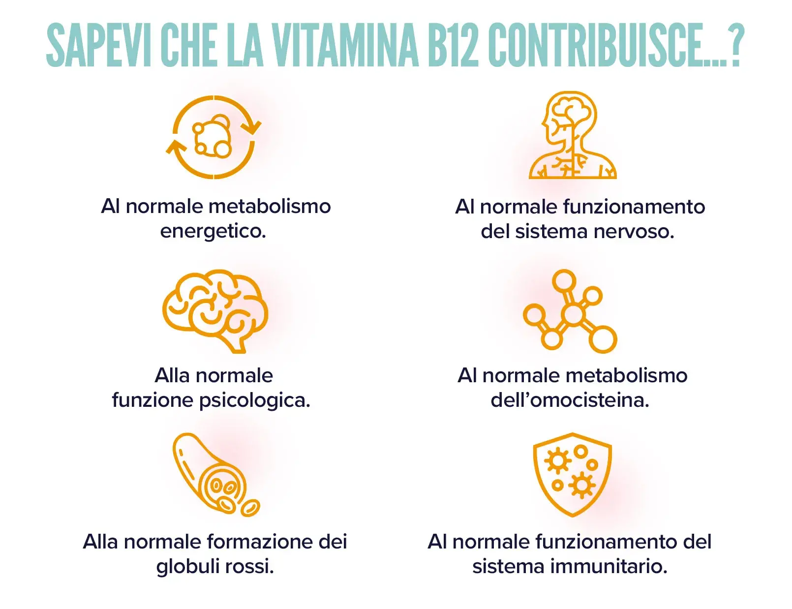 Fplus 2 Vitamina B12 cianocobalamina
